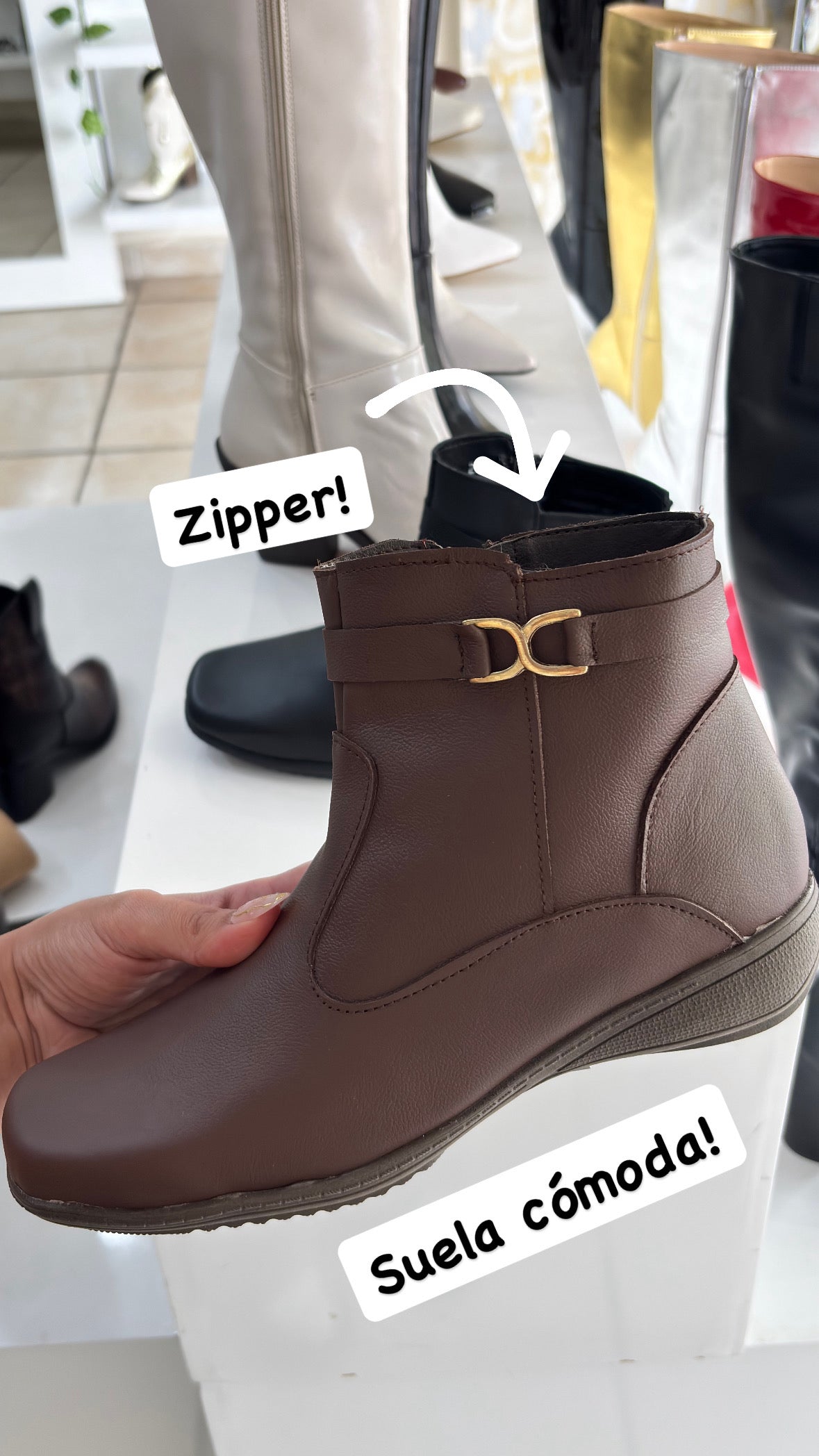 Botin Dolores Café